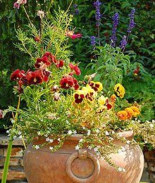 B. Özdemir - Garten- und Landschaftsbau in Pfullingen - Pflanzenbeete